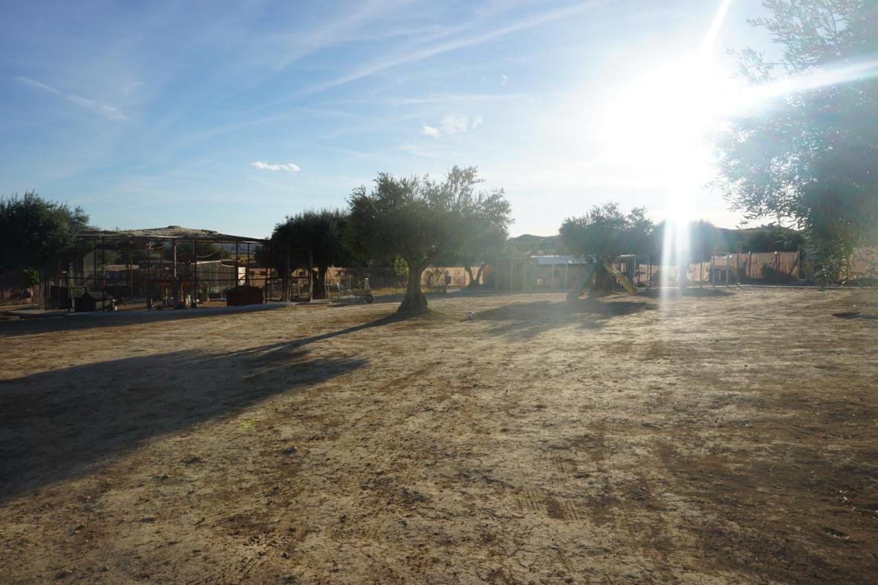 Cuchi Farm Villa Chinchon Luaran gambar
