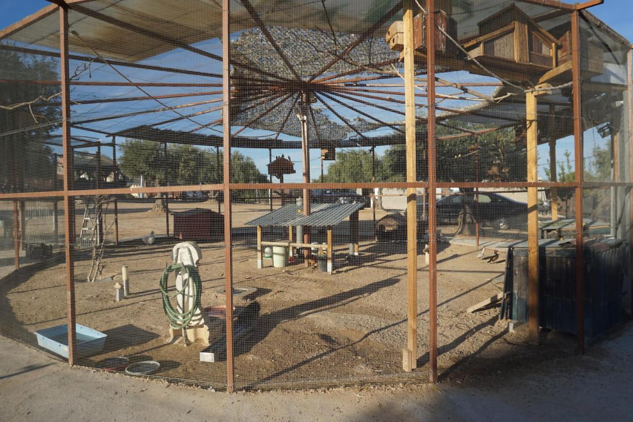 Cuchi Farm Villa Chinchon Luaran gambar