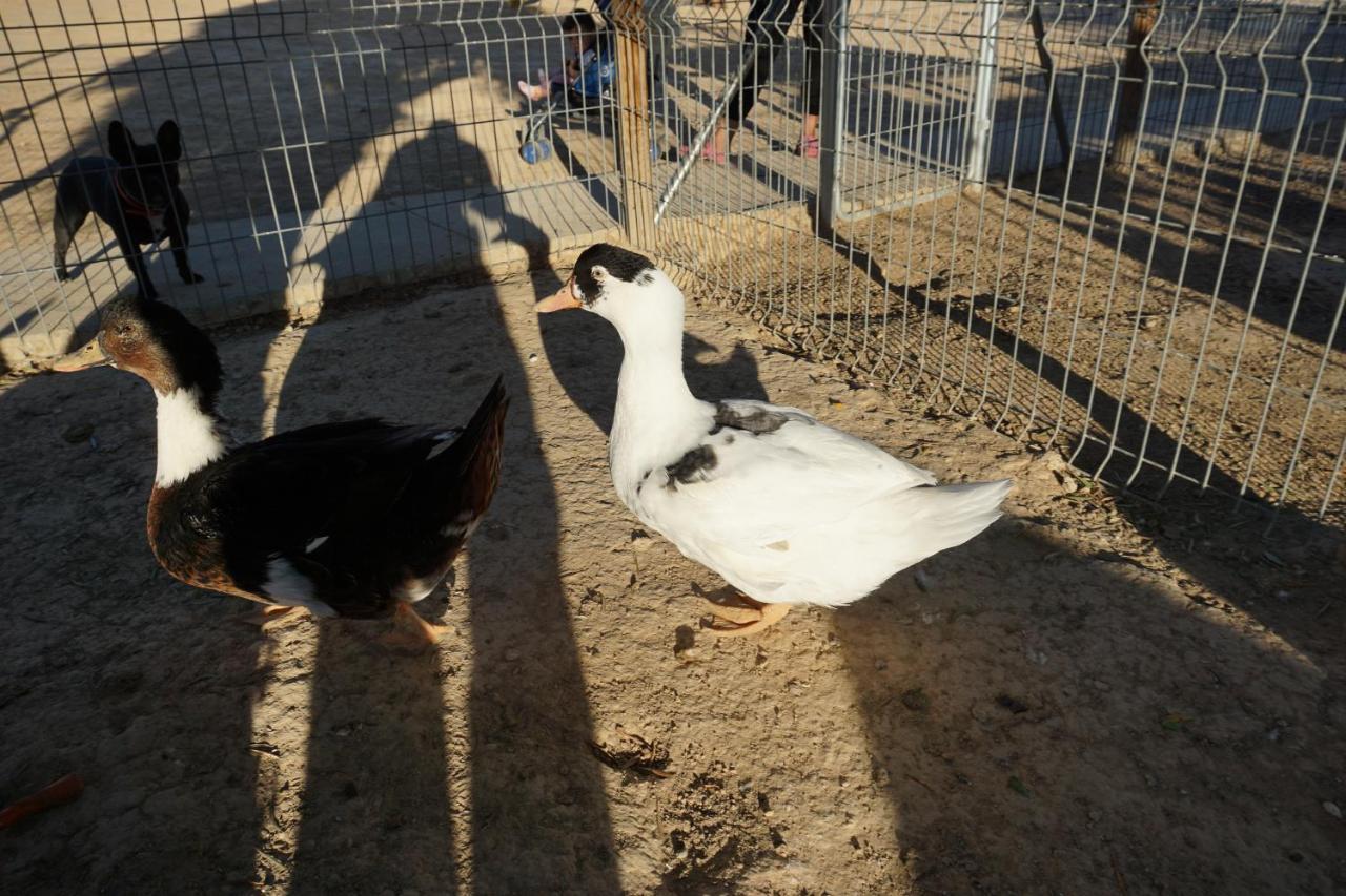 Cuchi Farm Villa Chinchon Luaran gambar